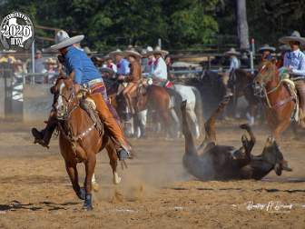 1-18-26 Circuito HTX