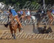 1-18-26 Circuito HTX