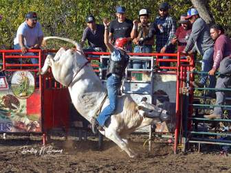 12-13-25 Rancho Los Caporales