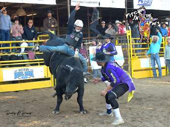 12-31-25 Pitchin In the Pines