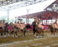 Coronelas