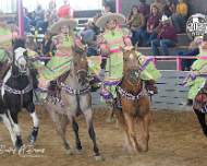 Rancho Los Girasoles