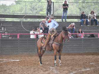 Estatal II 2006