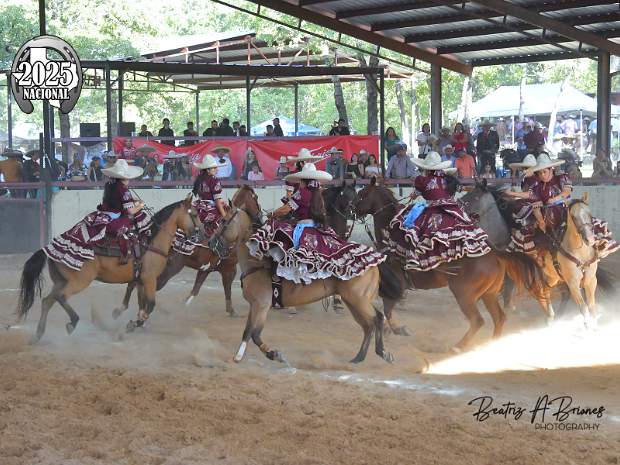 Adelitas de Virginia