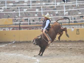 Domingo- 1.30pm