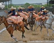 Coronelas