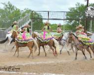 Rancho Los Girasoles
