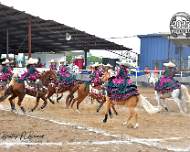 Soles Del Bajio