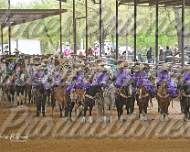 Pre-Estatal Escaramuzas 2026